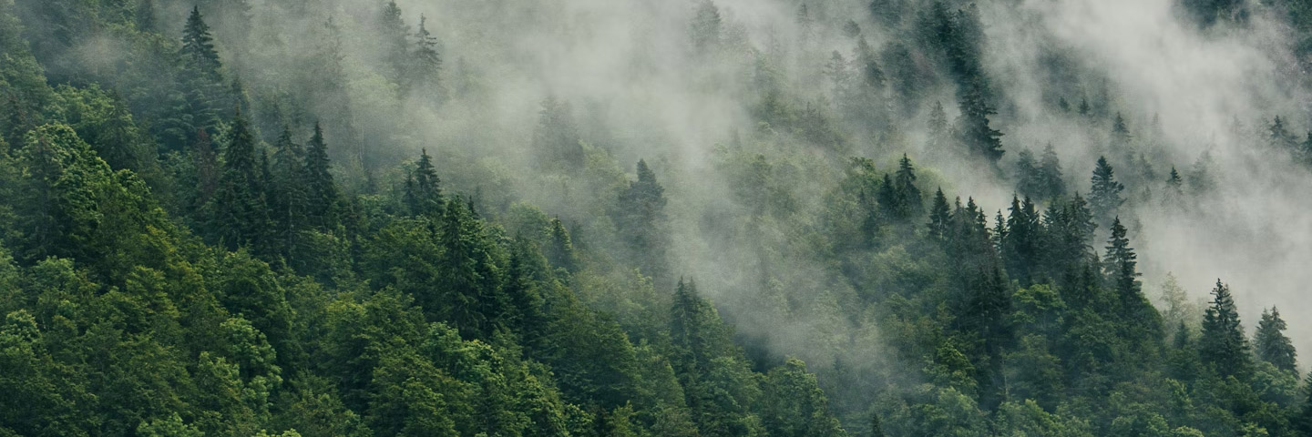 2節(jié)能減排 踐行綠色生產(chǎn).jpg